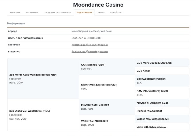 Карточка пони Moondance Casino в информационно-поисковой системе КОНИ-3